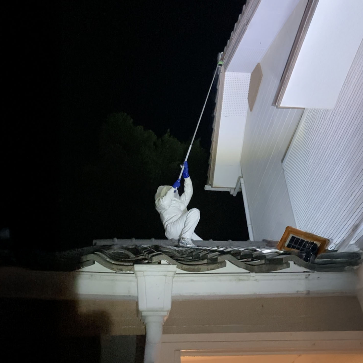 高所での駆除作業